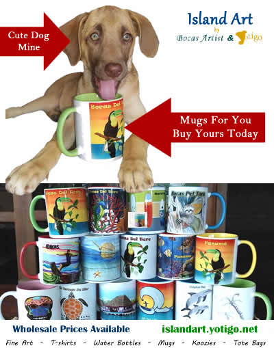 Mugs - Bocas Del Toro, Panama -Island Art Bocas Tshirt